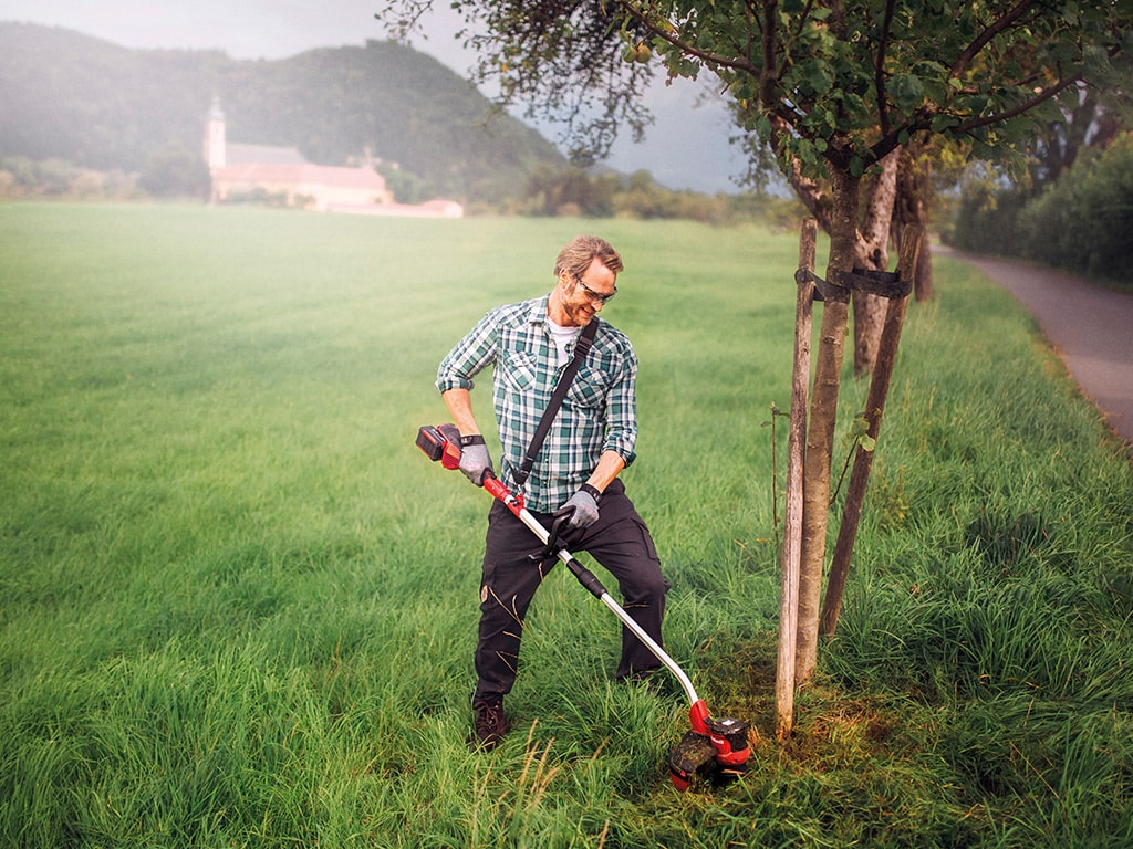 man mows the lawn next to a tree